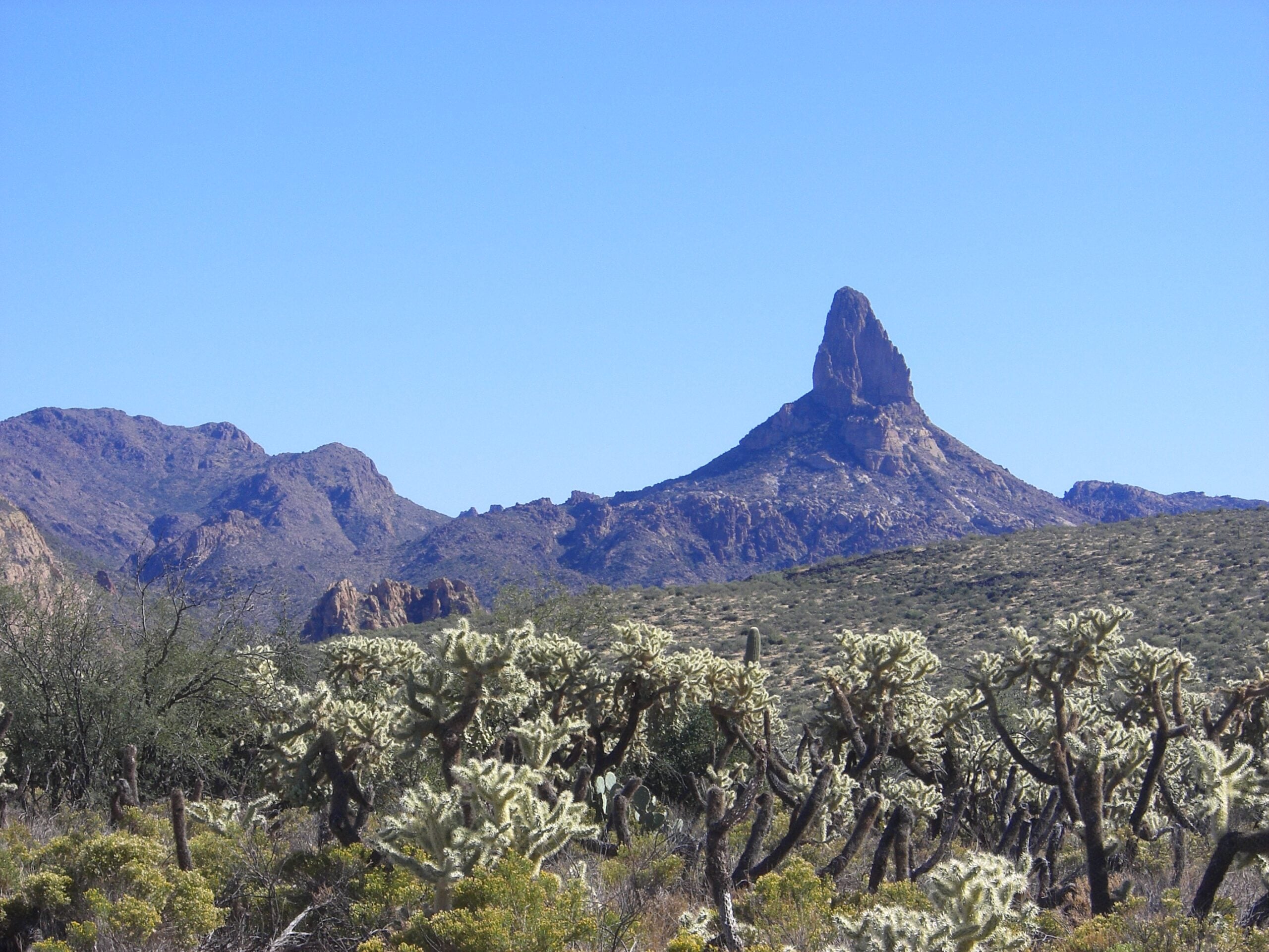 A rugged desert landscape with many cacti in the foreground and a tall, pointed rock formation rising from rocky hills under a clear blue sky.