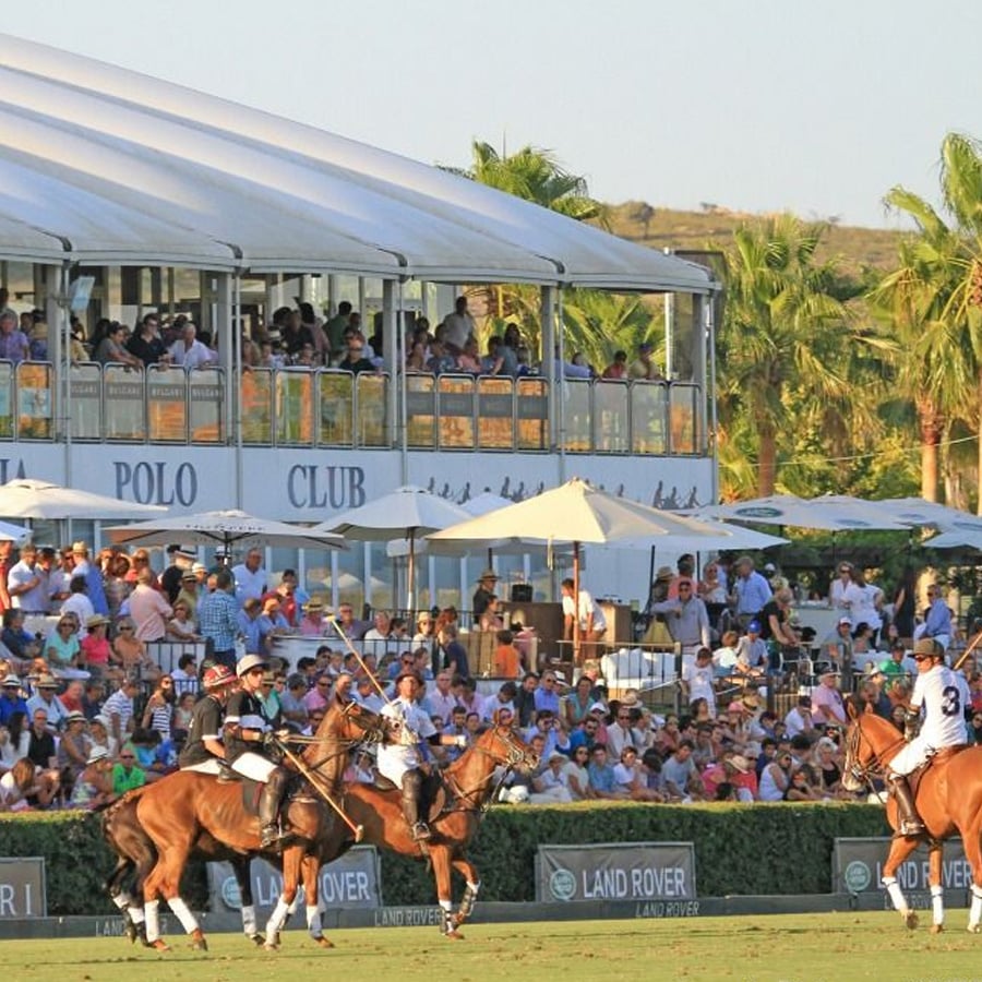 Polo players on horseback compete in a match in front of a large crowd seated under shaded areas and a grandstand at a polo club, surrounded by palm trees and summer weather.