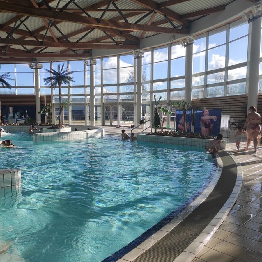 Indoor swimming pool with people swimming and relaxing. Large windows let in sunlight, artificial palm trees decorate the area, and a poster of a person in swimwear is on the wall. Blue sky is visible outside.
