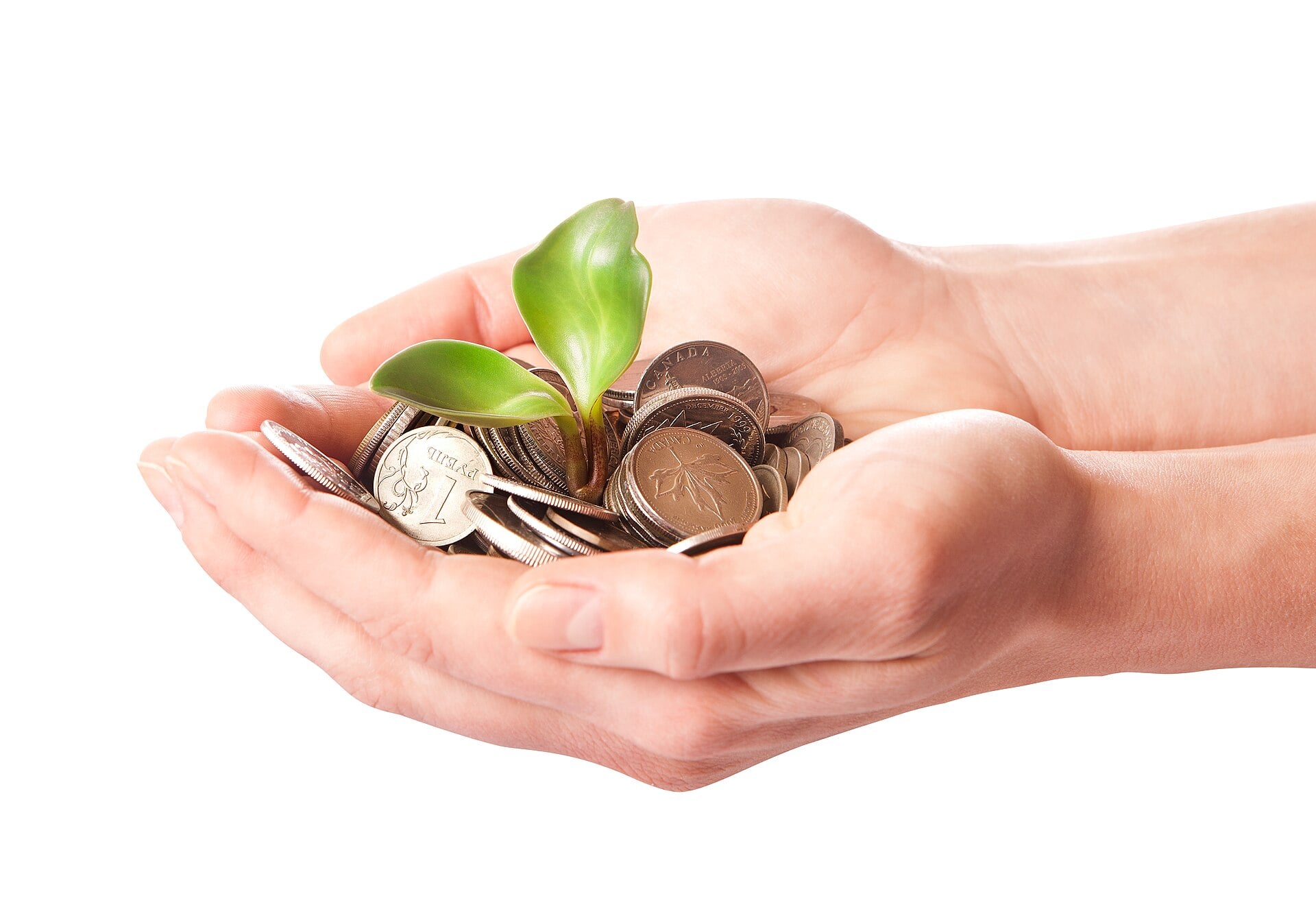 Two hands cupping a pile of coins with a small green plant sprouting from the center, symbolizing growth, investment, and financial prosperity, on a white background.