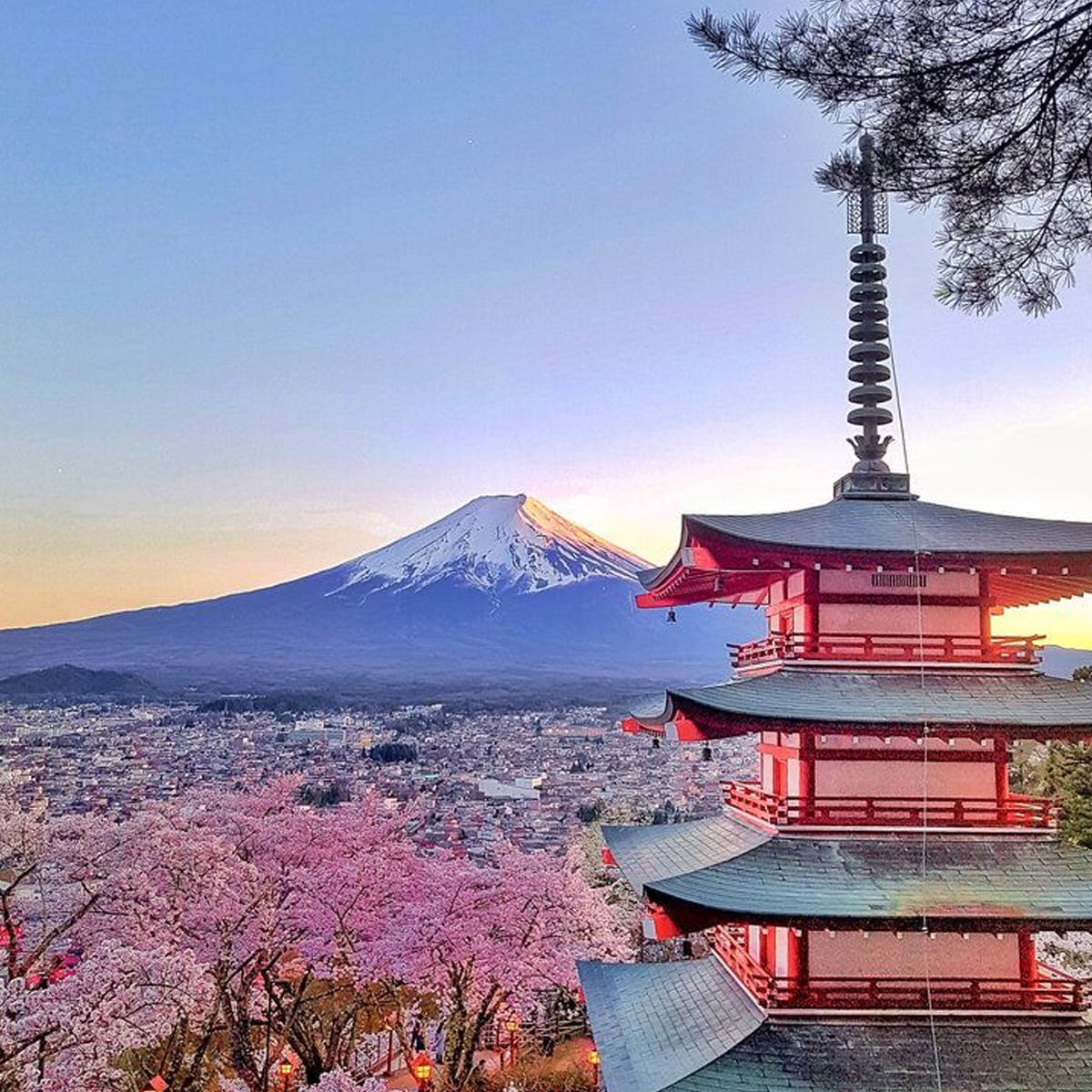 A red pagoda stands among cherry blossoms with Mount Fuji in the background at sunset, overlooking a cityscape in Japan.