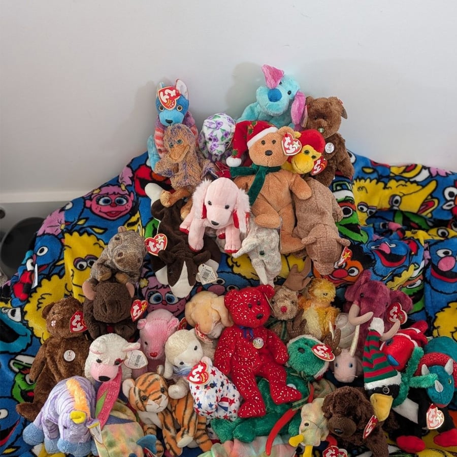 A collection of Beanie Babies plush toys, including bears, dogs, and other animals, is arranged on a colorful Sesame Street blanket featuring character faces. Most toys have visible red and white TY tags.