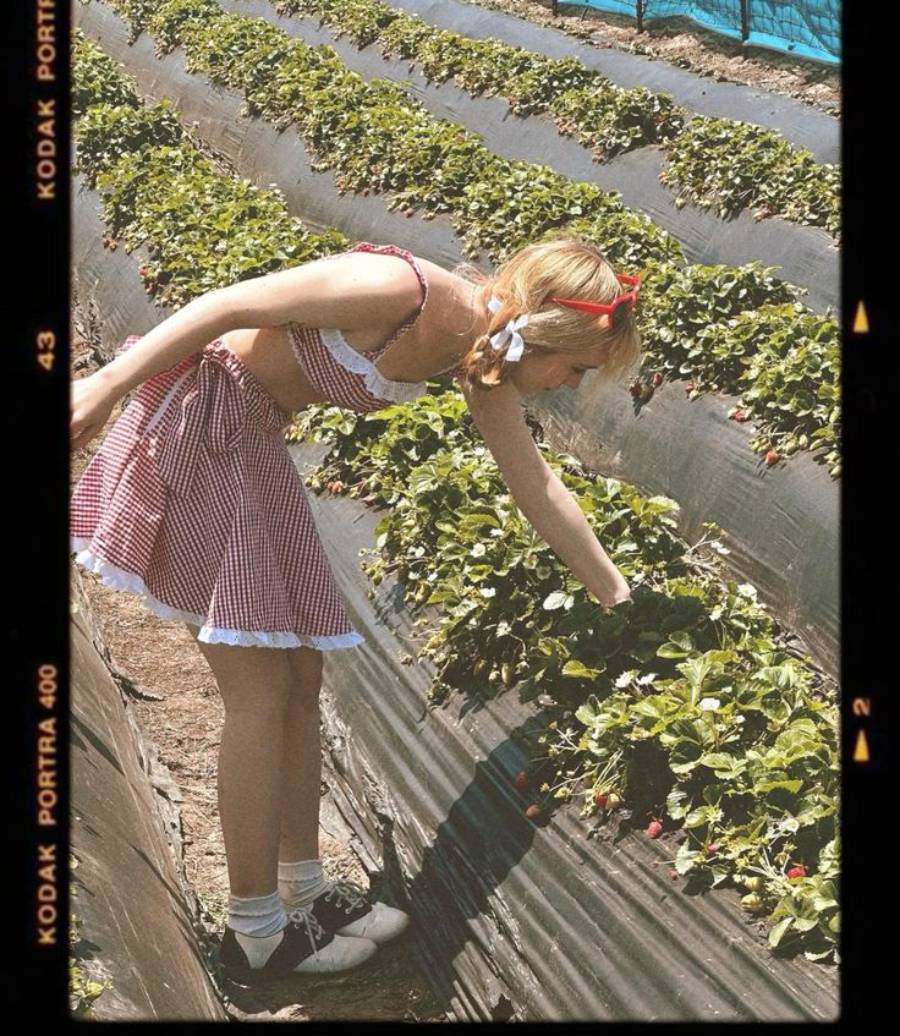 A person wearing a red gingham skirt and crop top picks strawberries in a field, bending over a row of plants under a sunny sky. The photo has a vintage film border.