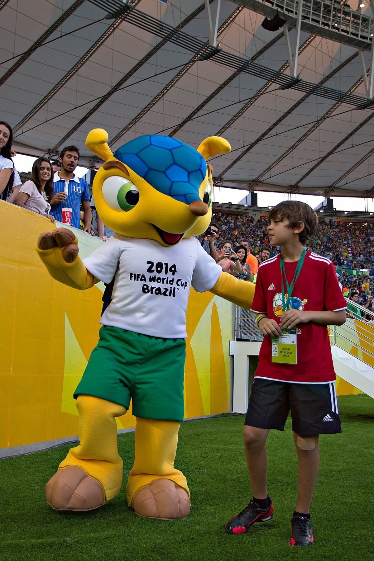 A person in a yellow and blue armadillo mascot costume wearing a "2014 FIFA World Cup Brazil" t-shirt stands on a soccer field next to a boy in a red shirt, with a stadium crowd in the background.