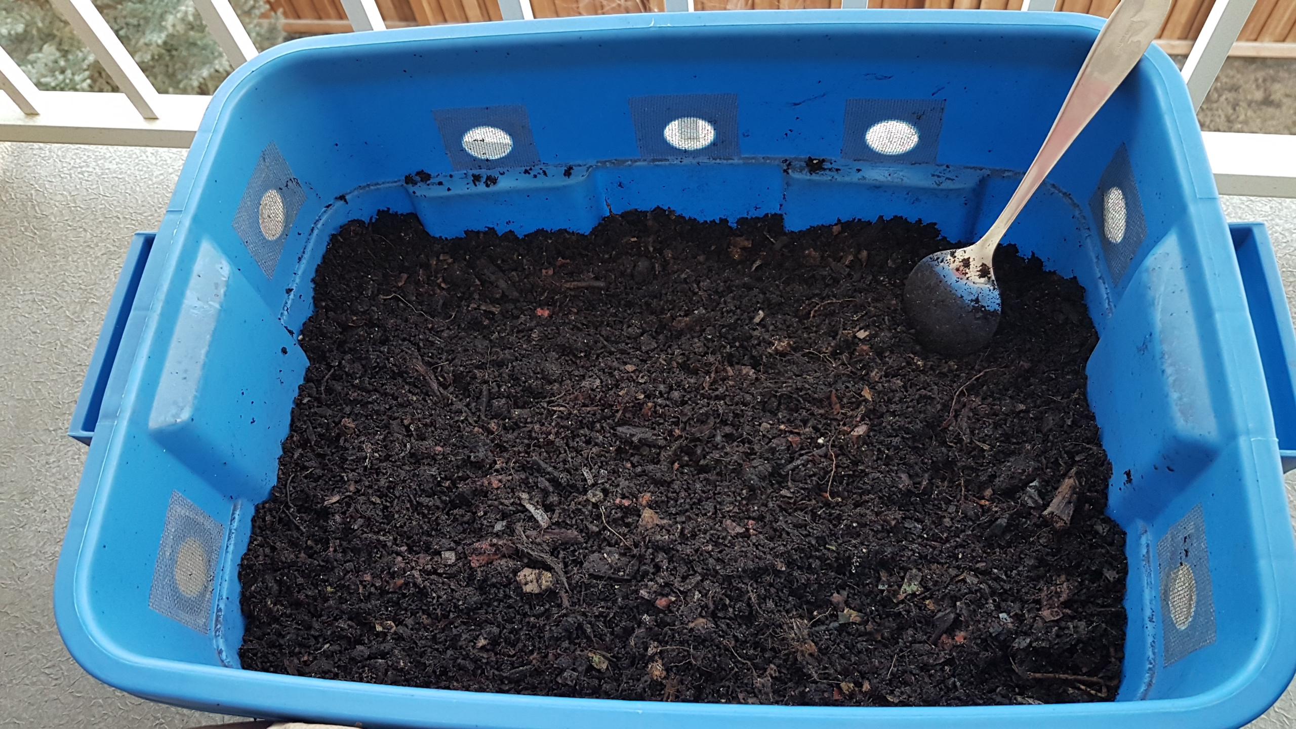 A blue plastic container filled with dark, moist soil sits on a surface. Several round holes are visible on the sides, and a metal spoon with soil on it rests inside the container.