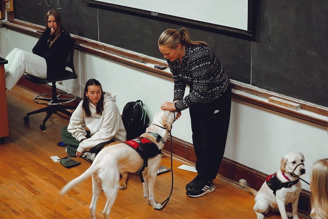 Three women are in a classroom with chalkboards. Two of them are sitting on the floor, and one is standing and petting a yellow service dog wearing a red vest. Another service dog sits nearby.