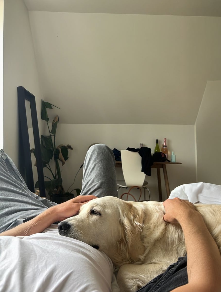 A person lying on a bed, wearing grey pants and a white shirt, gently cuddles a golden retriever. The dog rests its head on the person's chest. In the background, there is a desk, chair, potted plant, and a mirror.