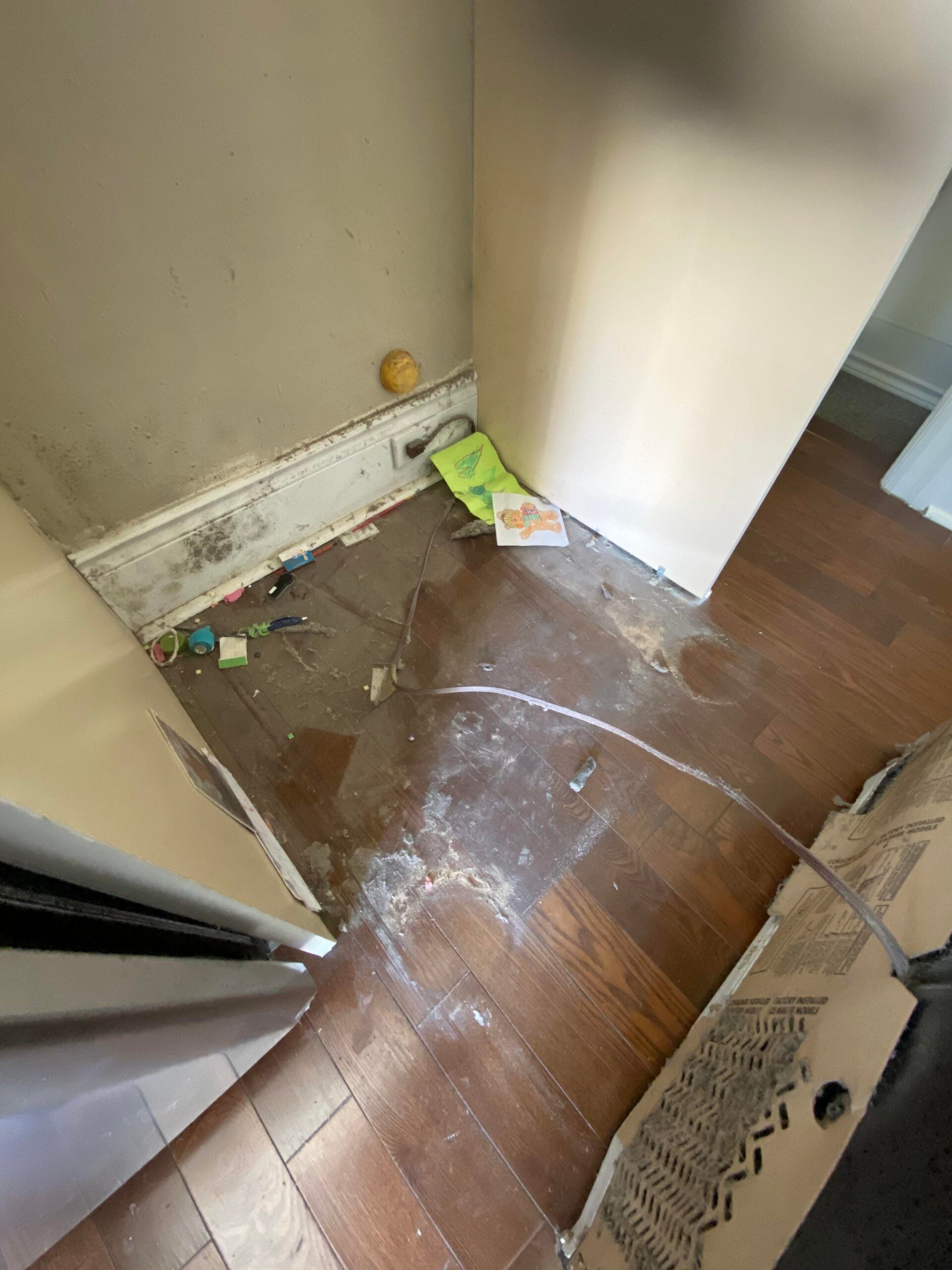 A small, dirty corner of a room with exposed, stained floorboards, scattered debris, a tennis ball, a green book, and trash near the wall. The adjacent hallway has clean, brown wooden flooring.