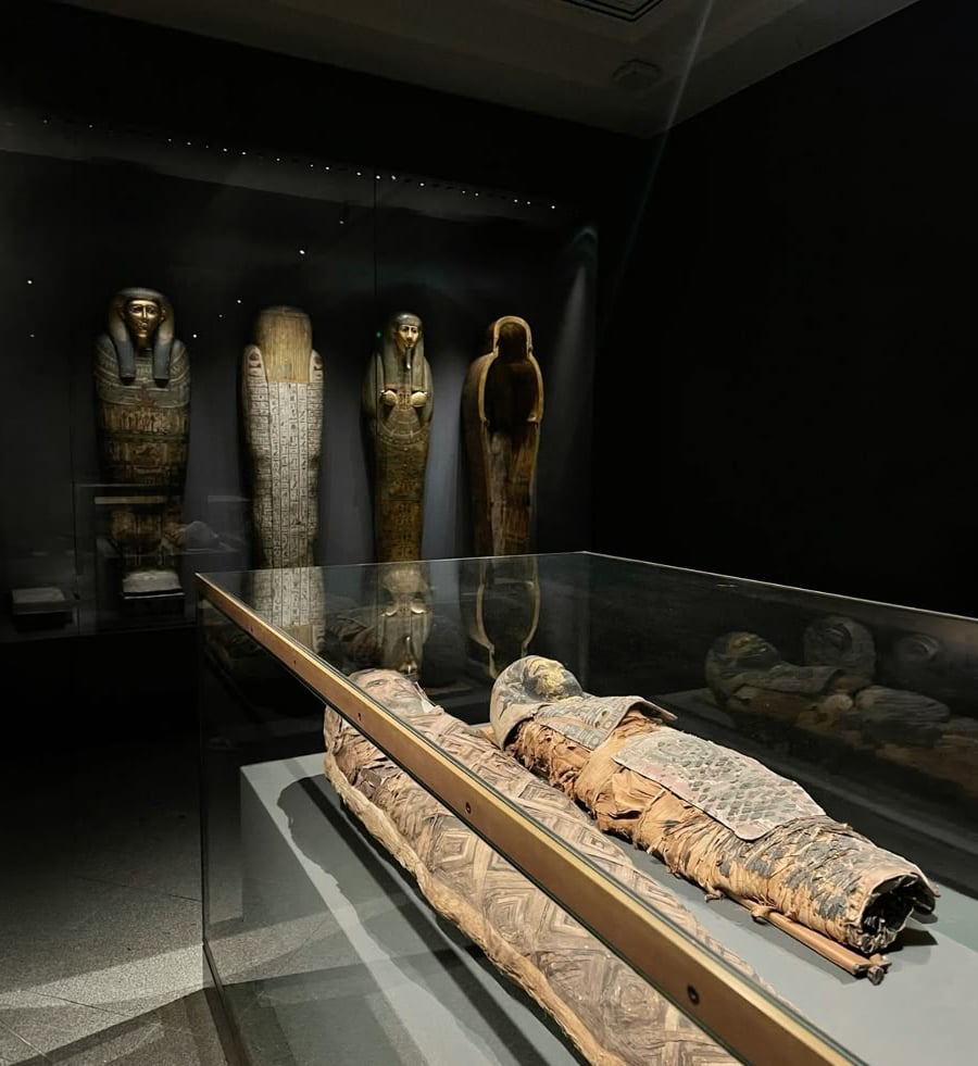 A glass display case contains a wrapped Egyptian mummy in a dimly lit museum room. In the background, four ancient sarcophagi stand upright against a dark wall.