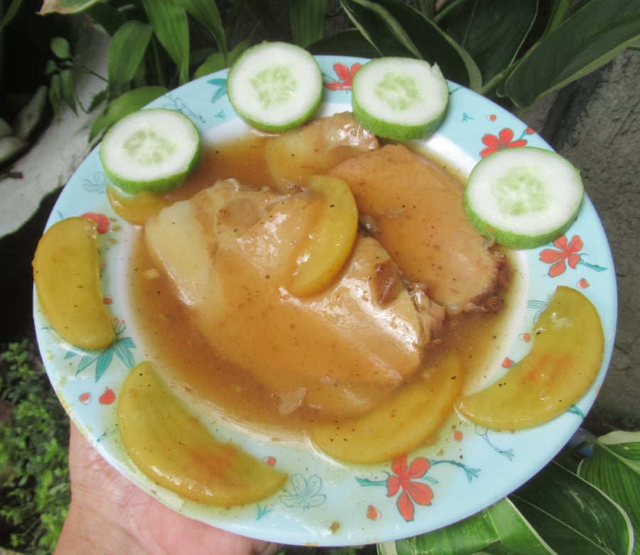A plate with two pieces of meat in brown sauce, garnished with cucumber slices and cooked apple wedges, served on a floral-patterned dish with green leaves in the background.
