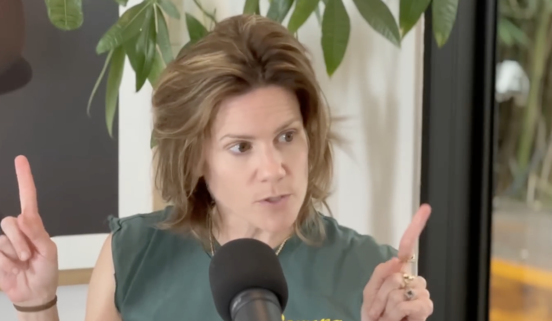 A woman with shoulder-length hair speaks into a microphone, raising both index fingers. She appears to be making a point during a conversation. There is a green plant and a window in the background.