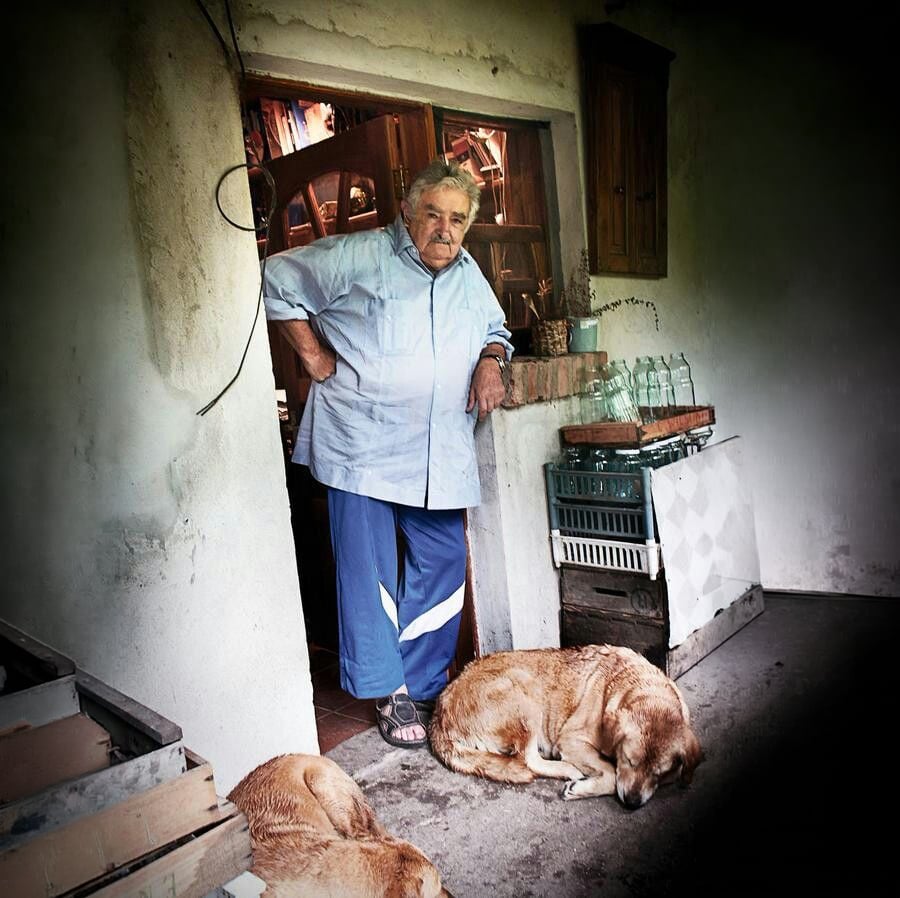 An older person stands in the doorway of a rustic house, wearing a blue shirt and pants. Two large dogs are lying on the ground at their feet. Glass bottles and crates are stacked nearby.