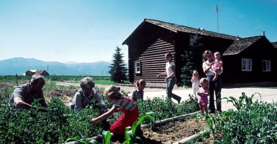 A family tends to a vegetable garden outside a log cabin on a sunny day, with adults and children picking plants and playing. Mountains and trees are visible in the background.
