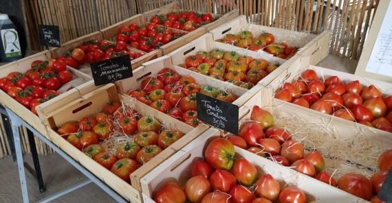 Wooden crates filled with various types of tomatoes, some bright red and others orange-red, are displayed at a market stall with handwritten chalkboard signs indicating their names and prices.