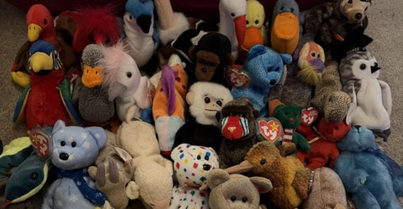 A collection of various Ty Beanie Babies, including animals like bears, birds, and a monkey, is arranged closely together on a carpeted floor.