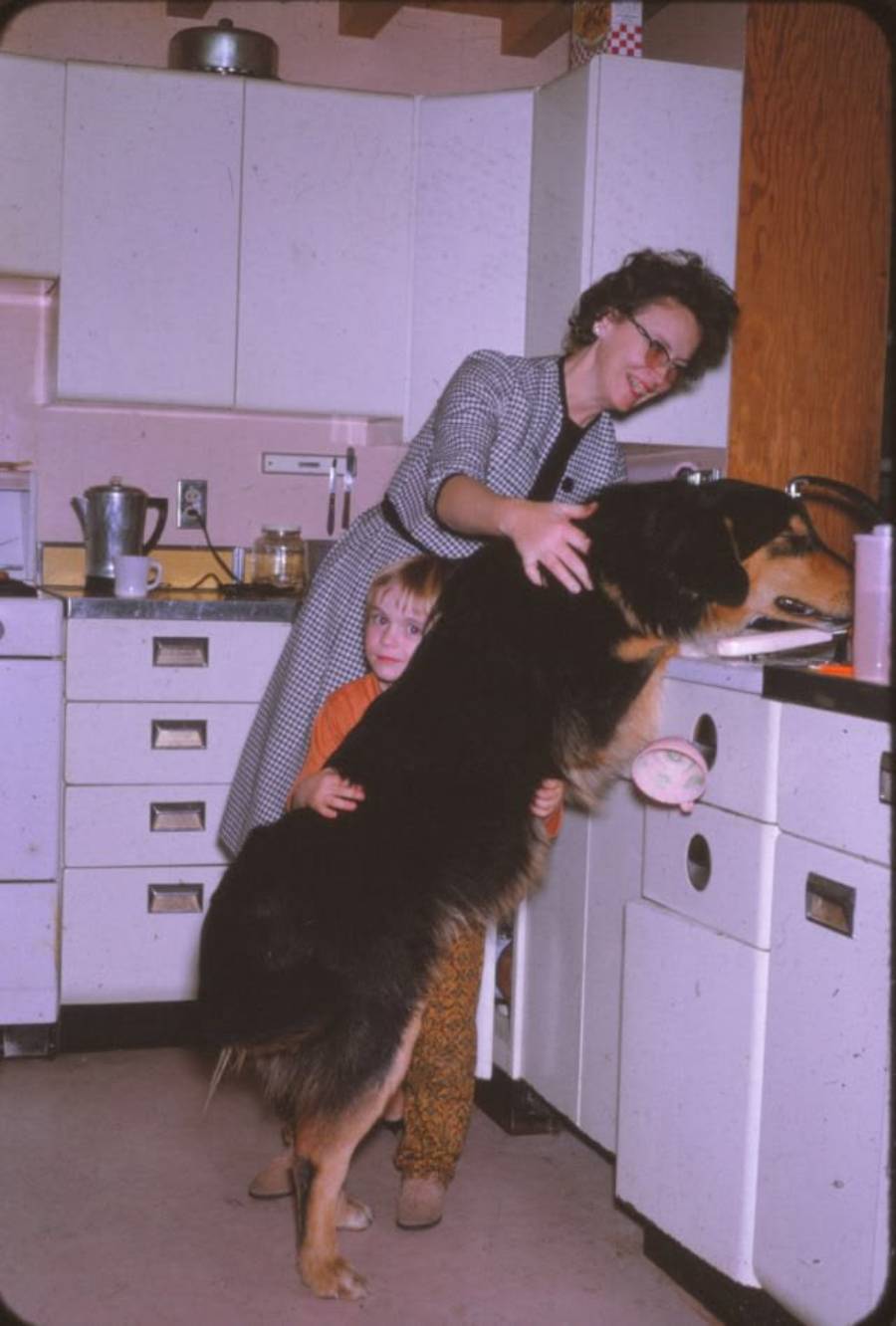 A woman and a child stand in a kitchen with a large black and brown dog whose front paws are on the counter. The woman smiles while petting the dog, and the child hugs the dog from behind.