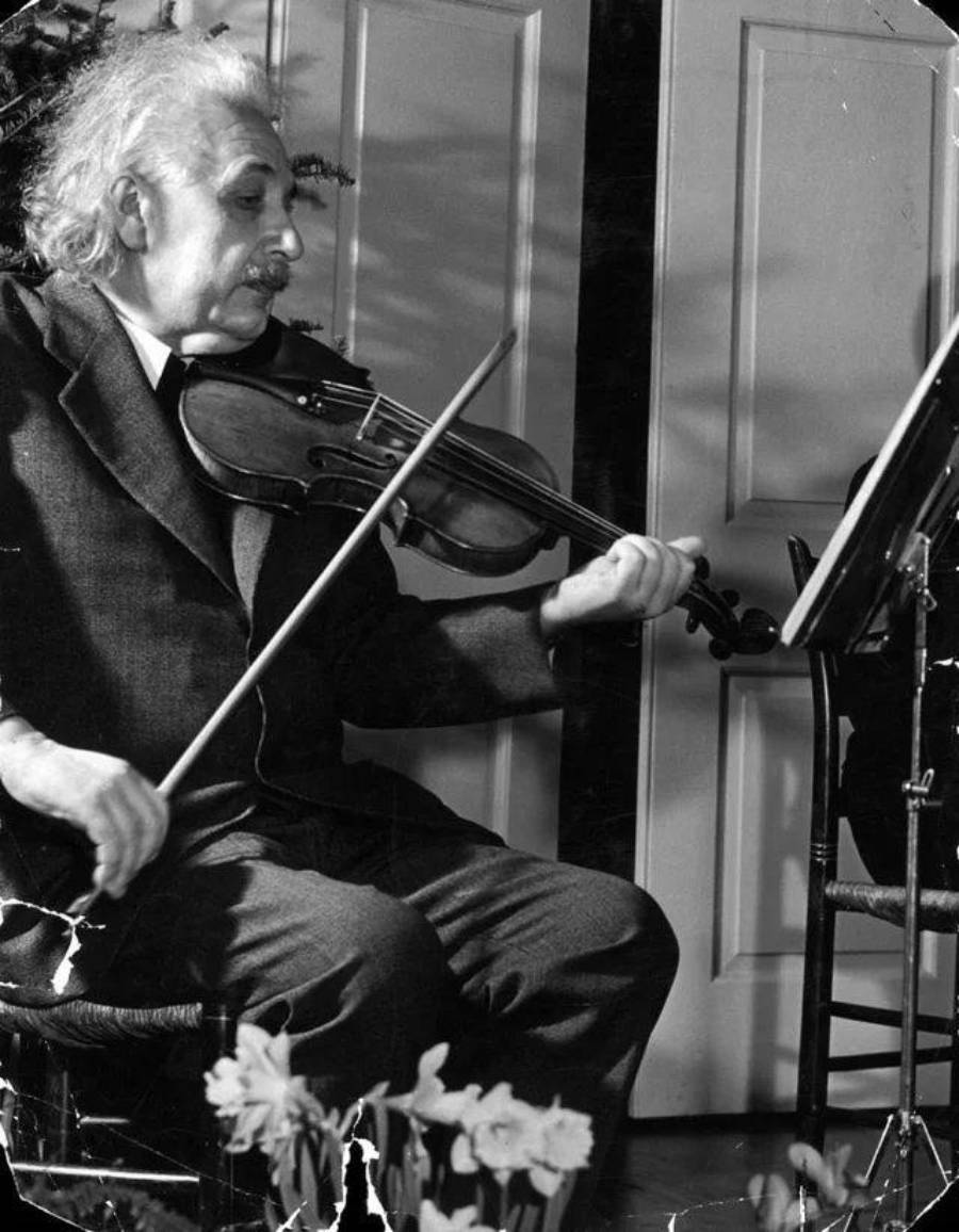 An older man with white, tousled hair plays the violin while seated, facing a music stand. He wears a suit and is concentrating on his performance. Flowers and a chair are visible in the foreground.