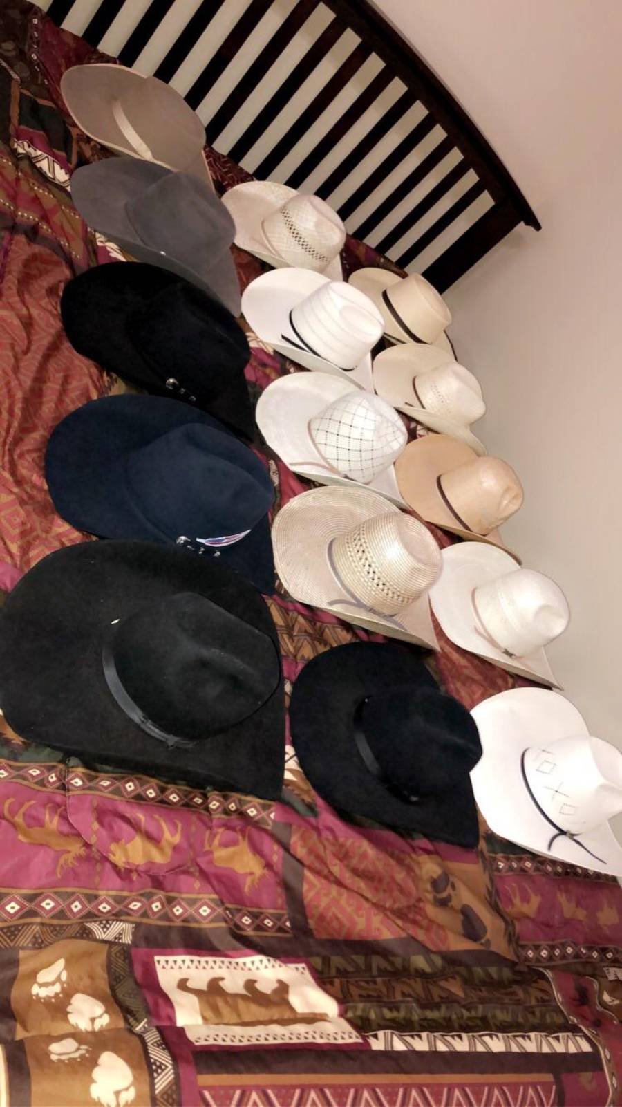 A collection of various hats, mostly white or black, are neatly arranged on a patterned bedspread beside a wooden headboard.