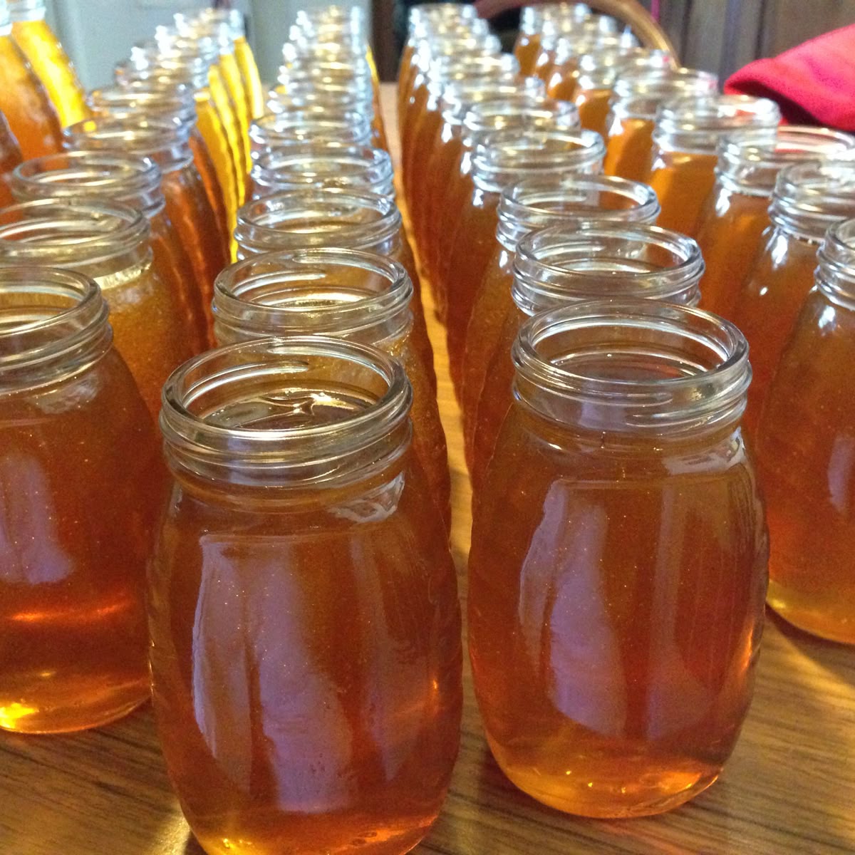 Rows of glass jars filled with golden honey are arranged closely together on a wooden surface, reflecting light.