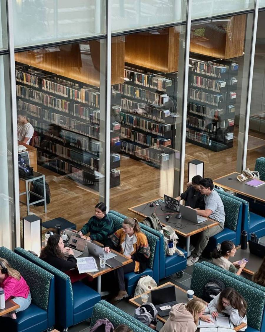 Students study in groups at tables in a modern library with large glass windows. Bookshelves line the background, and laptops, notebooks, and drinks are visible on the tables.