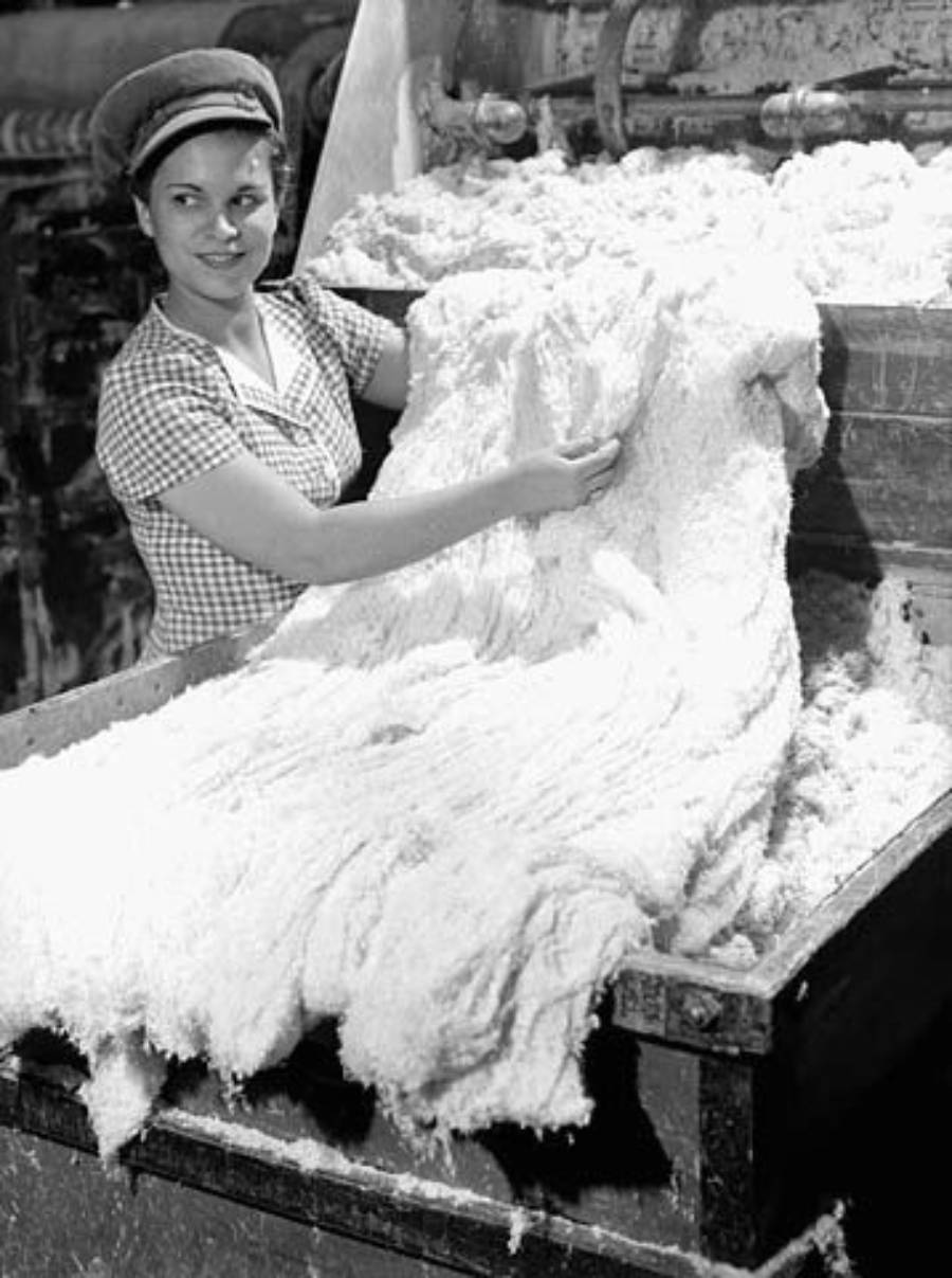 A woman wearing a checkered shirt and a cap works in a factory, lifting a large pile of raw cotton or textile fibers from an industrial machine.