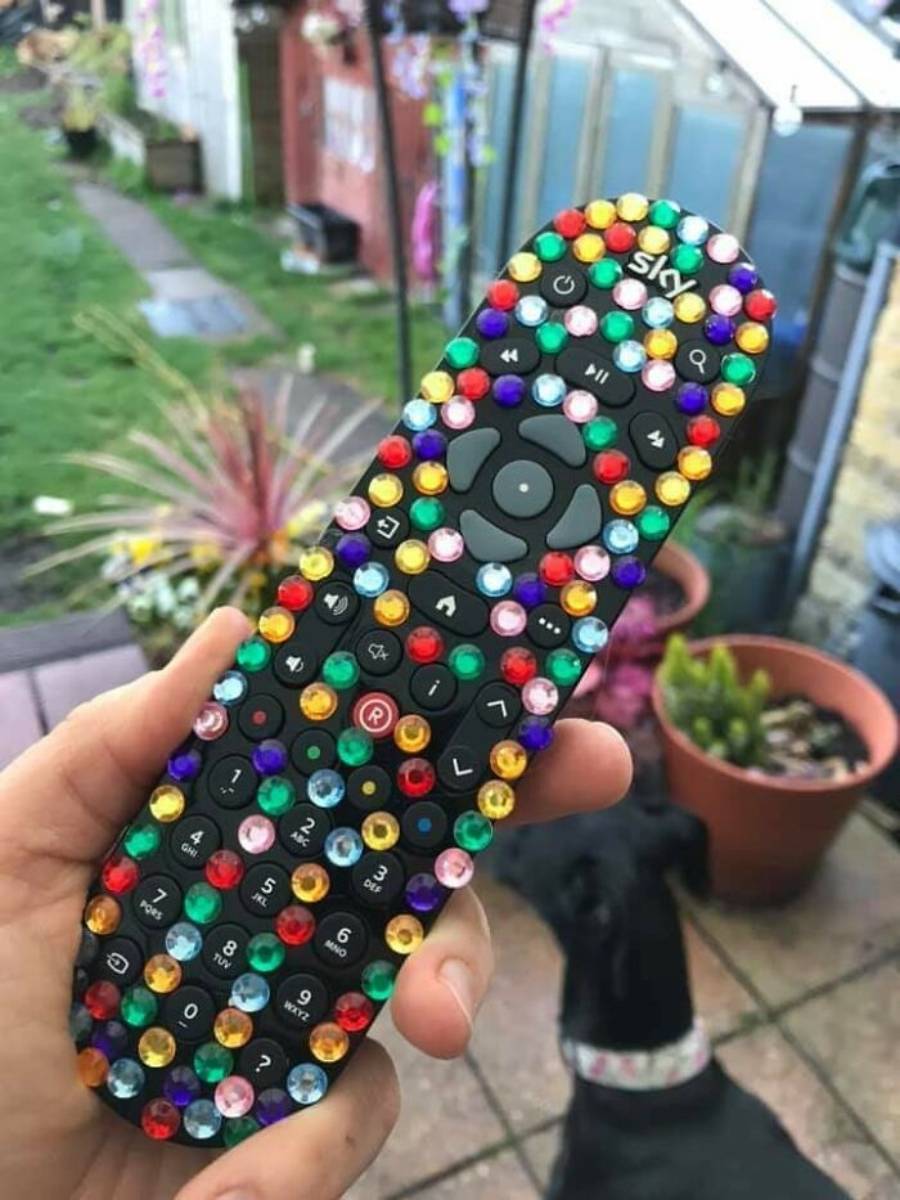 A hand holds a TV remote covered in colorful rhinestones or gems. In the background, there are plants in pots, a greenhouse, and a black dog looking away.