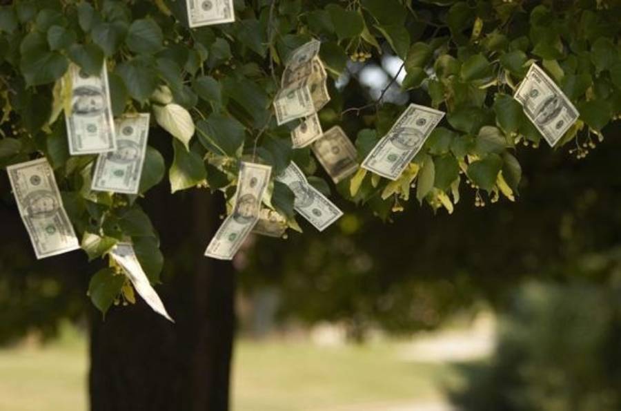 U.S. dollar bills are hanging from the branches of a green leafy tree, creating the appearance that money is growing on the tree.