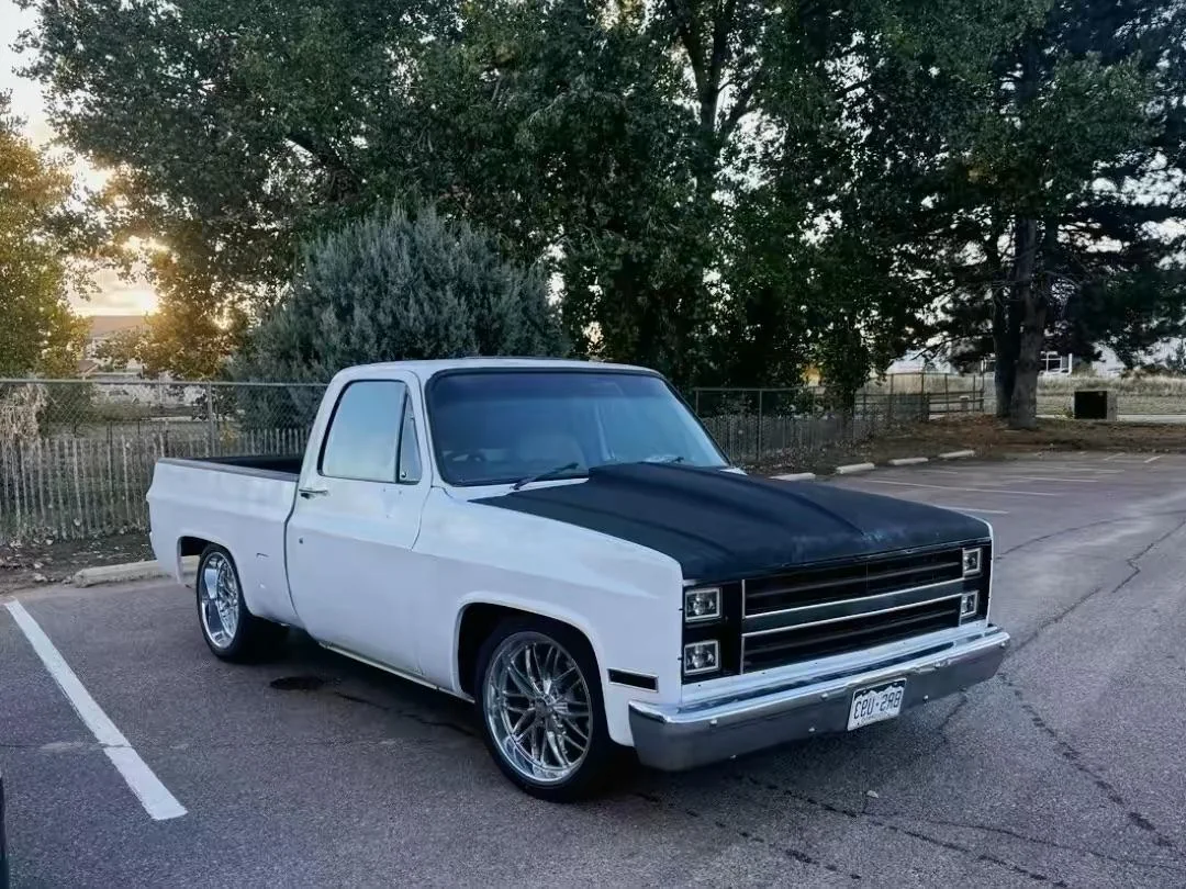 A white vintage pickup truck with a matte black hood is parked in a lot near trees and a fence. The truck has shiny custom wheels and visible Colorado license plates.