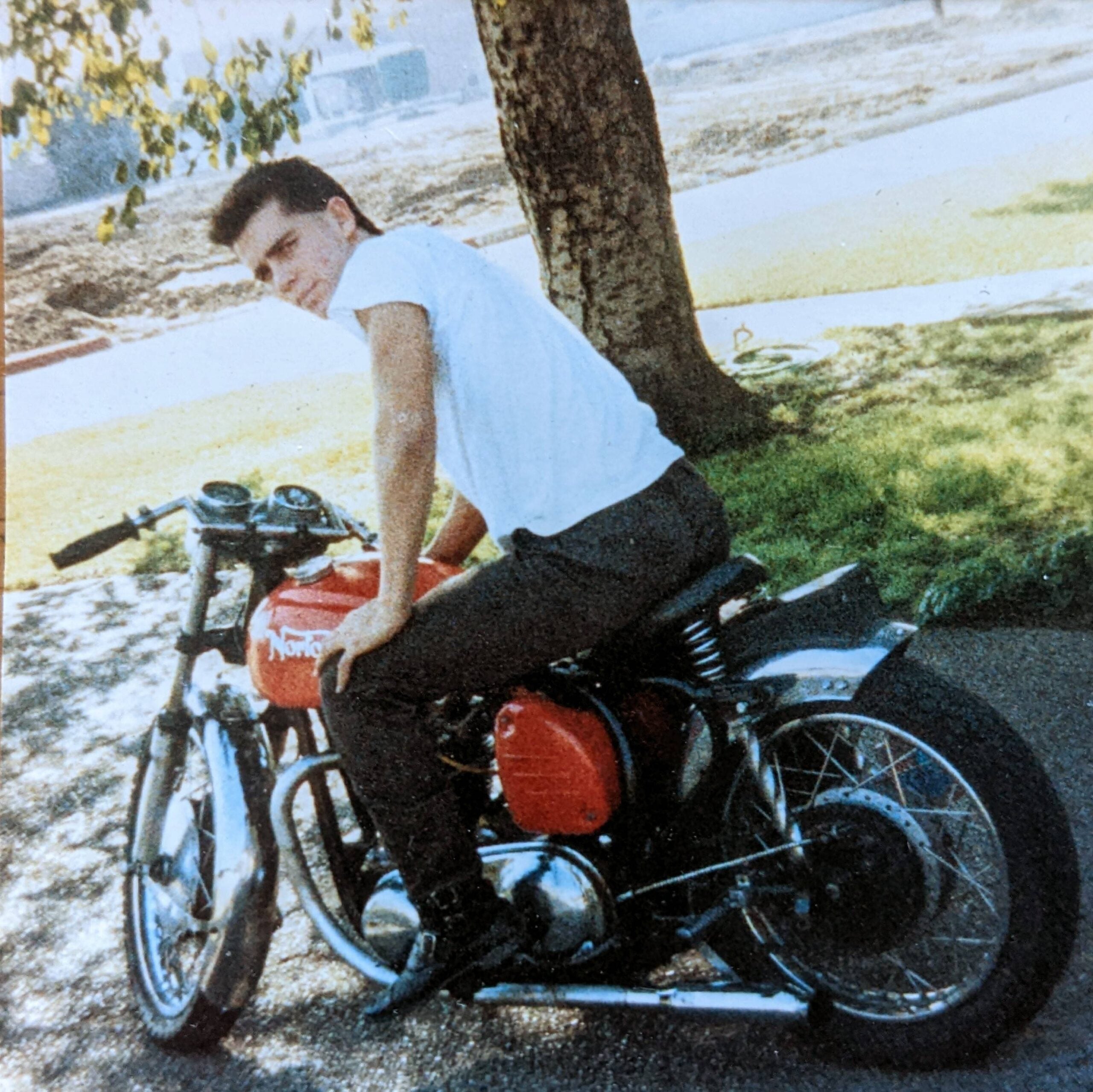 A young man in a white t-shirt and dark pants sits on a red vintage Norton motorcycle near a tree, looking over his shoulder. The background includes grass, pavement, and a partially bare area.