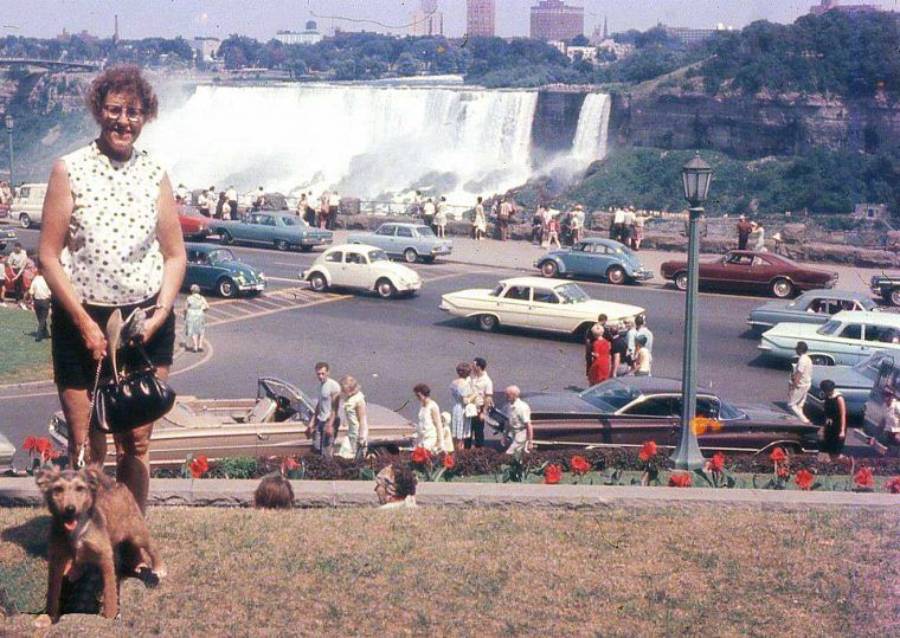 A woman with a dog stands on grass in front of a parking lot filled with vintage cars and tourists. Niagara Falls is visible in the background on a sunny day.