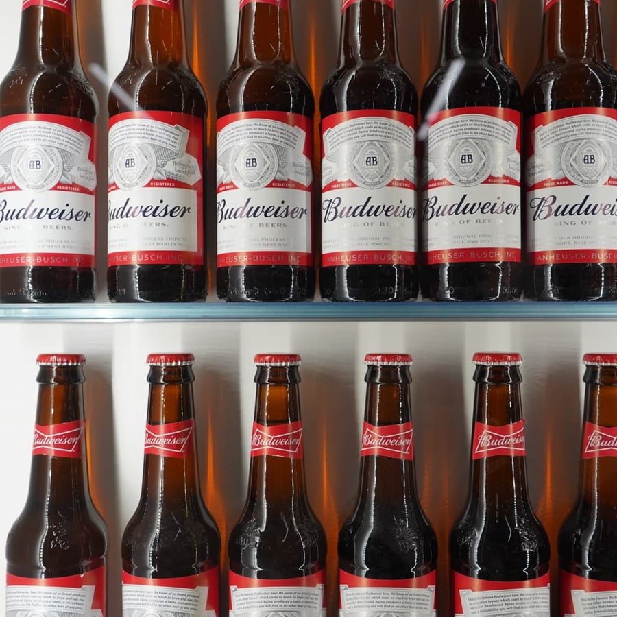 Twelve Budweiser beer bottles are arranged in two rows on a glass shelf, with their red, white, and silver labels facing forward.