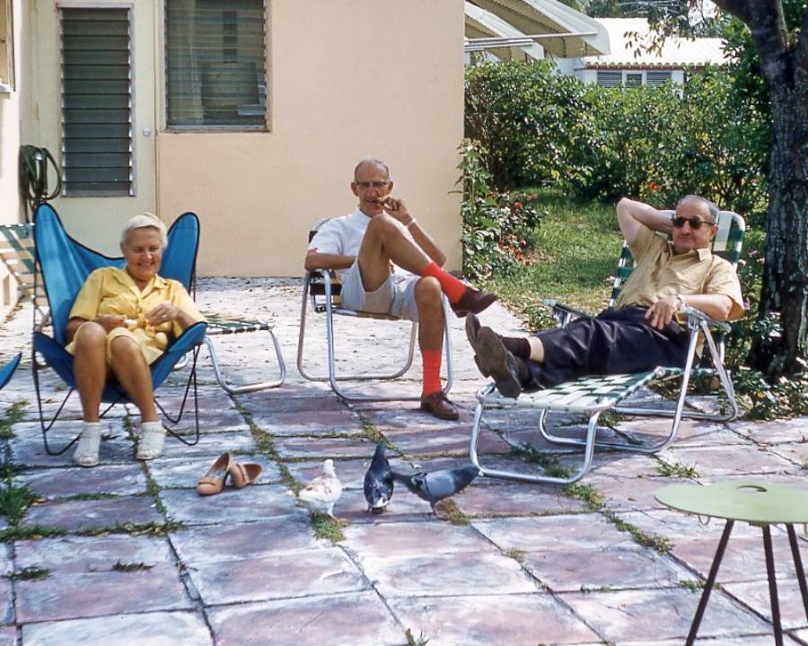 Three adults relax on lawn chairs on a tiled patio. Two men and one woman sit under a tree, watching pigeons on the ground. A house and garden are visible in the background.