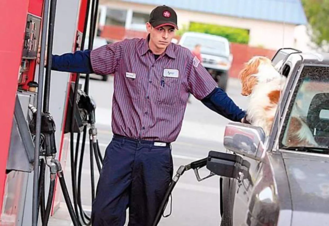 A gas station attendant pumps fuel into a car while a dog with white and brown fur looks out from the car window at him. The attendant wears a striped shirt, navy pants, and a cap.