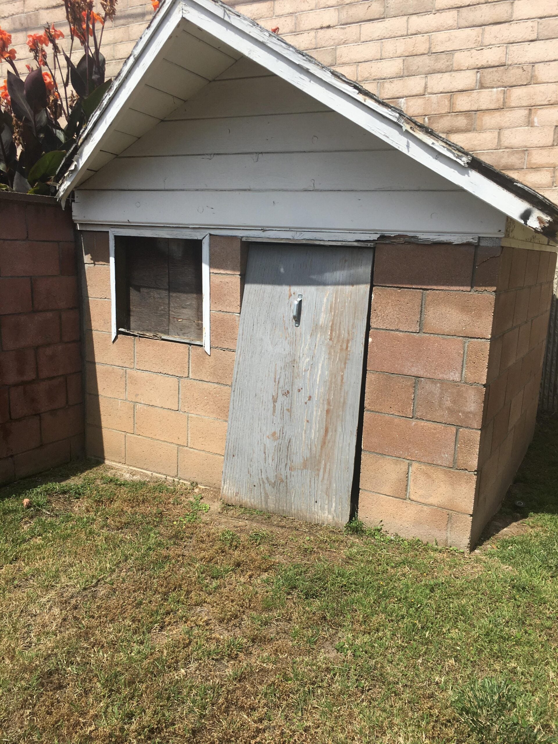 Small shed with a slanted roof, brick walls, a window with a dark screen, and a weathered wooden door, situated on grass next to a brick wall and plants.