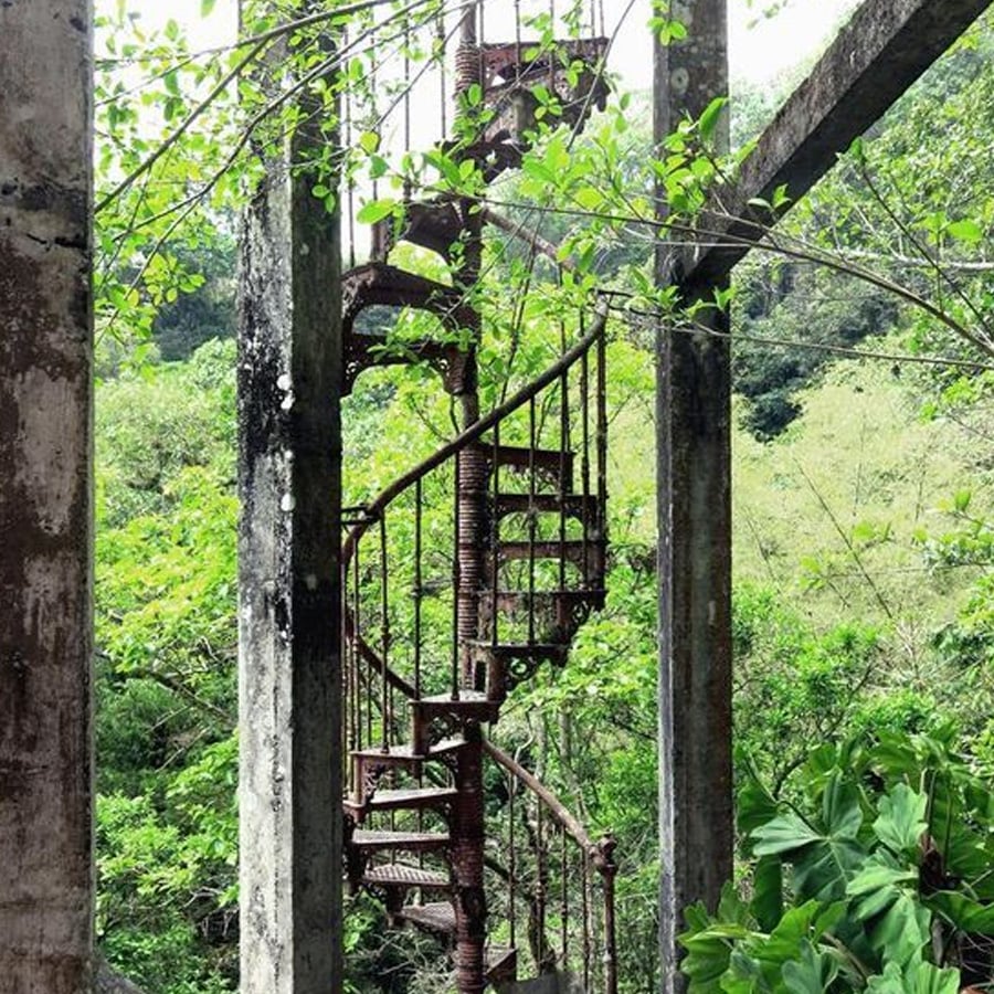 A rusty spiral staircase stands among tall concrete pillars surrounded by lush green foliage and trees in an outdoor setting.
