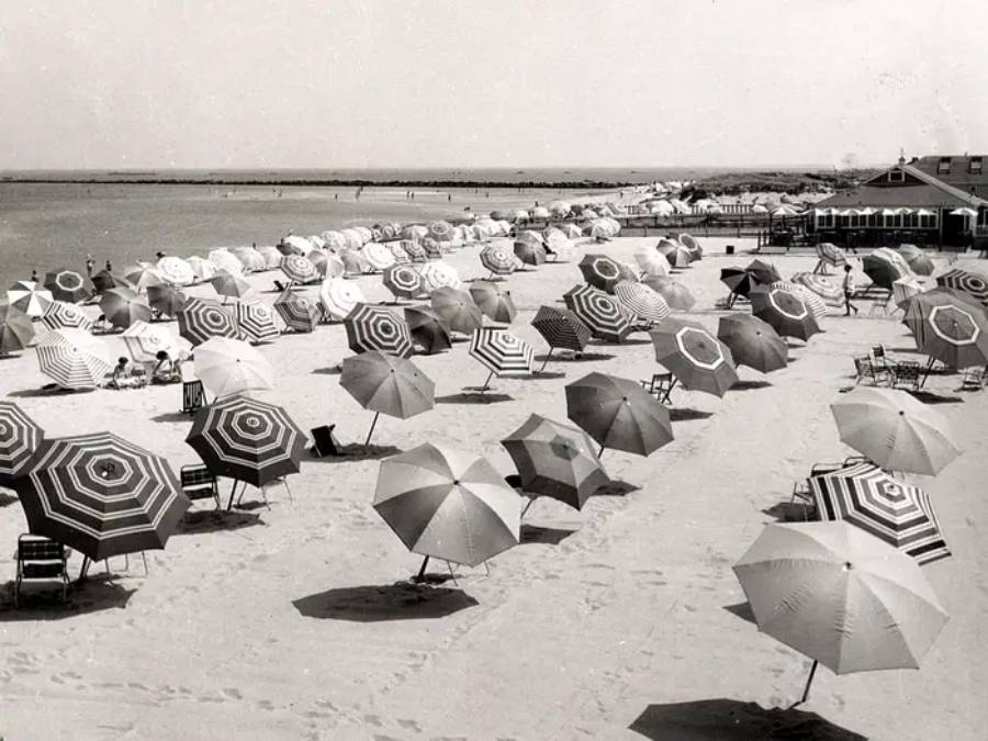 Black and white photo of a beach lined with many striped umbrellas and empty lounge chairs, arranged in rows along the sandy shore. The sea and a distant building can be seen in the background.