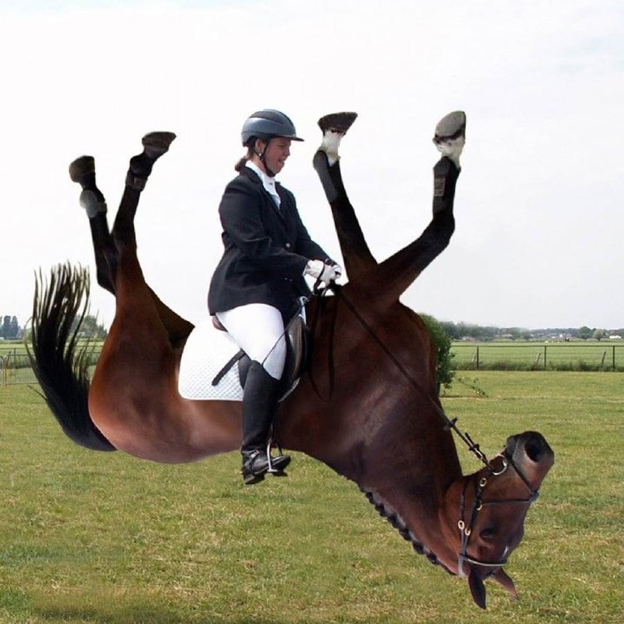 A rider in equestrian gear is sitting on an upside-down horse on a grassy field, creating a humorous and surreal scene.