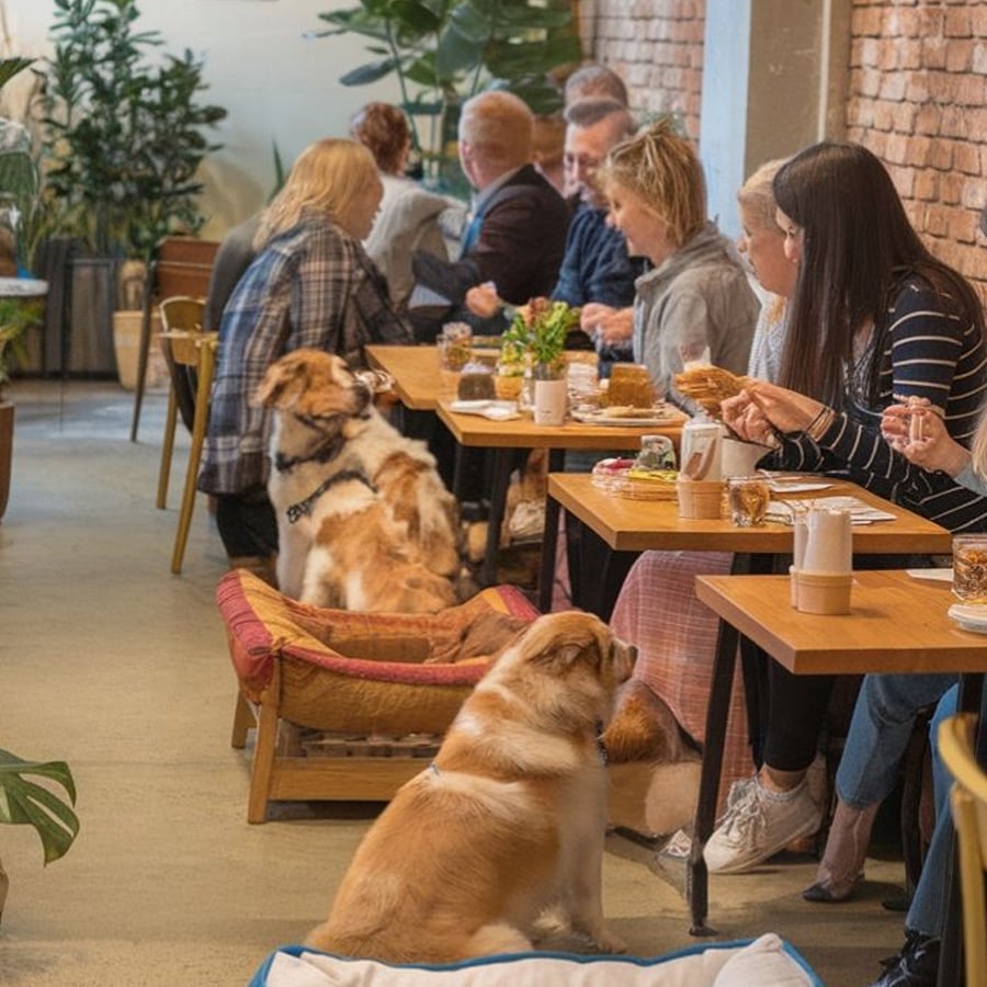 People sit at wooden tables in a cozy cafe with dogs lying and sitting nearby. The setting has brick walls and green plants, creating a relaxed, pet-friendly atmosphere. Coffee cups and plates are on the tables.