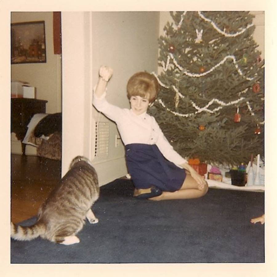 A woman kneels and plays with a gray tabby cat near a decorated Christmas tree in a living room. Wrapped gifts are visible under the tree. The woman is smiling and raising her hand as if to tease the cat.