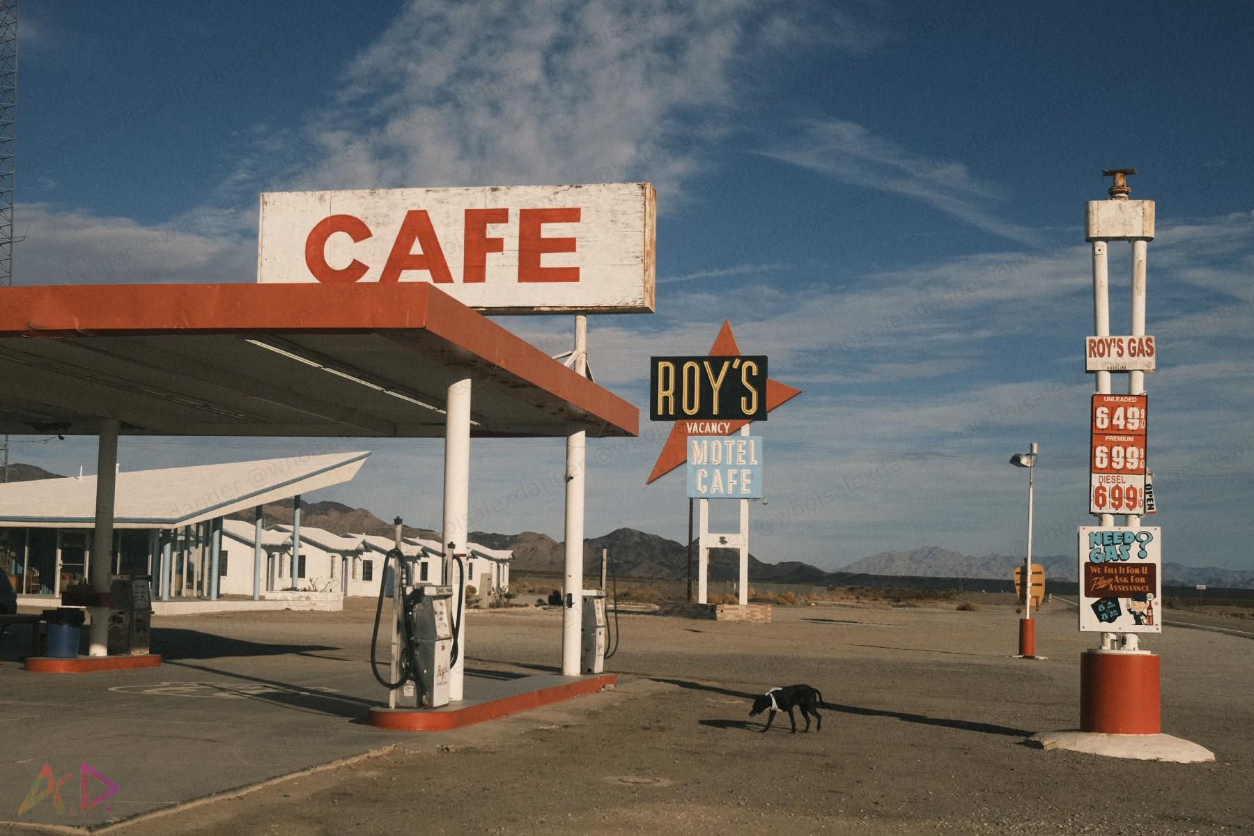 Desert roadside cafe and gas station with vintage signs, empty parking lot, mountains in the distance, and a black dog walking near the pumps under a partly cloudy sky.