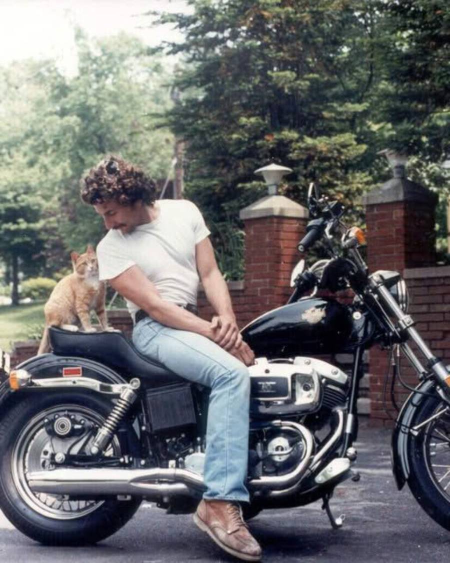 A man in a white t-shirt and jeans sits on a black motorcycle, looking back at an orange cat sitting on the motorcycle seat behind him. There are trees and a brick wall in the background.