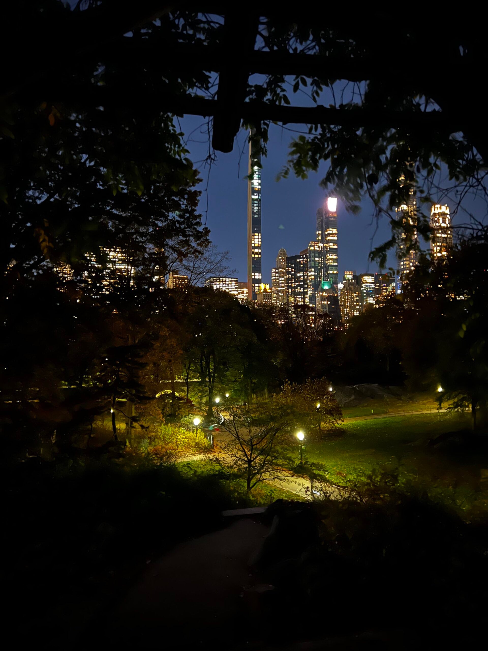 A nighttime view of a city skyline with tall, illuminated buildings, seen from a dark, leafy park with lit pathways and scattered trees in the foreground.