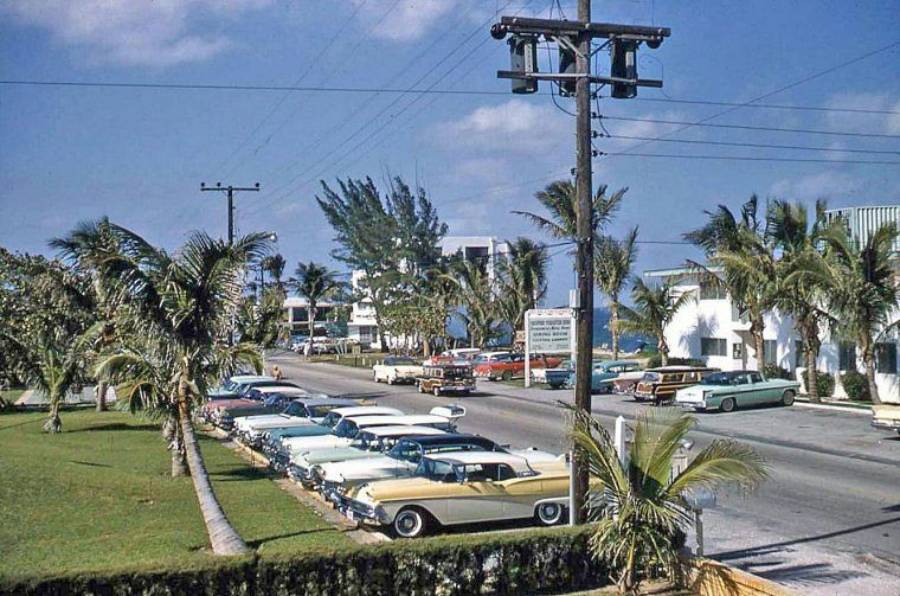 A row of vintage cars is parked beside a palm-lined street with white buildings and a sign, under a clear blue sky. The scene suggests a tropical or coastal location, possibly from the mid-20th century.