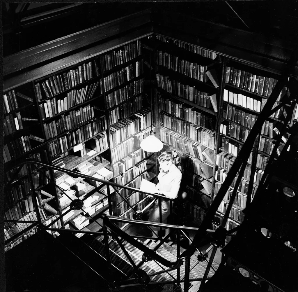 A person sits at a desk reading in a small, enclosed library filled with bookshelves. The scene is lit by a single desk lamp, creating a bright spot in an otherwise dark, shadowy room viewed from above.