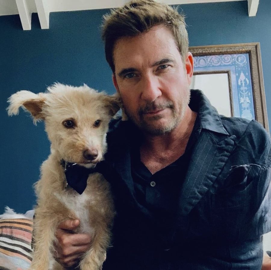 A man in a dark shirt poses indoors next to a small, scruffy tan dog wearing a black bow tie. They are both looking at the camera. There is a blue wall and a framed picture in the background.