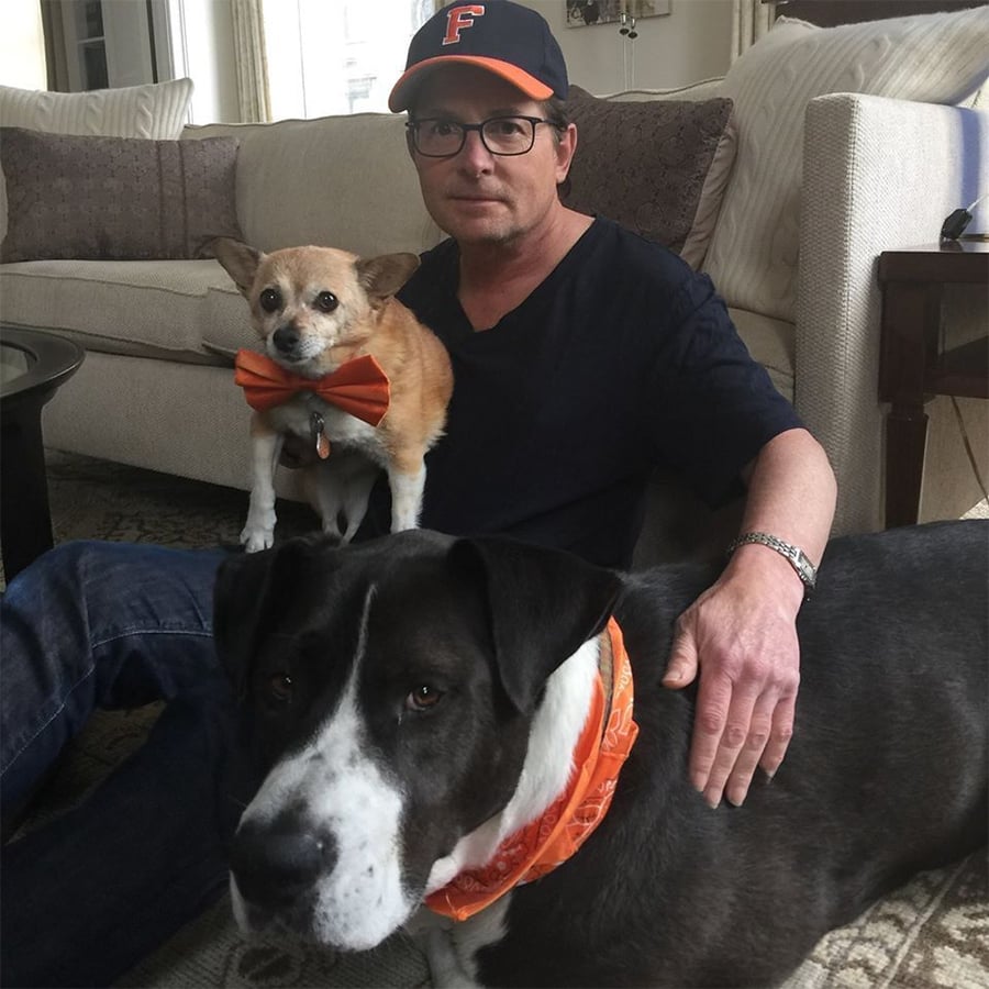 A man wearing glasses and a baseball cap sits indoors on the floor with a small dog on his lap, sporting an orange bowtie. A larger black-and-white dog with an orange bandana sits in front of them.