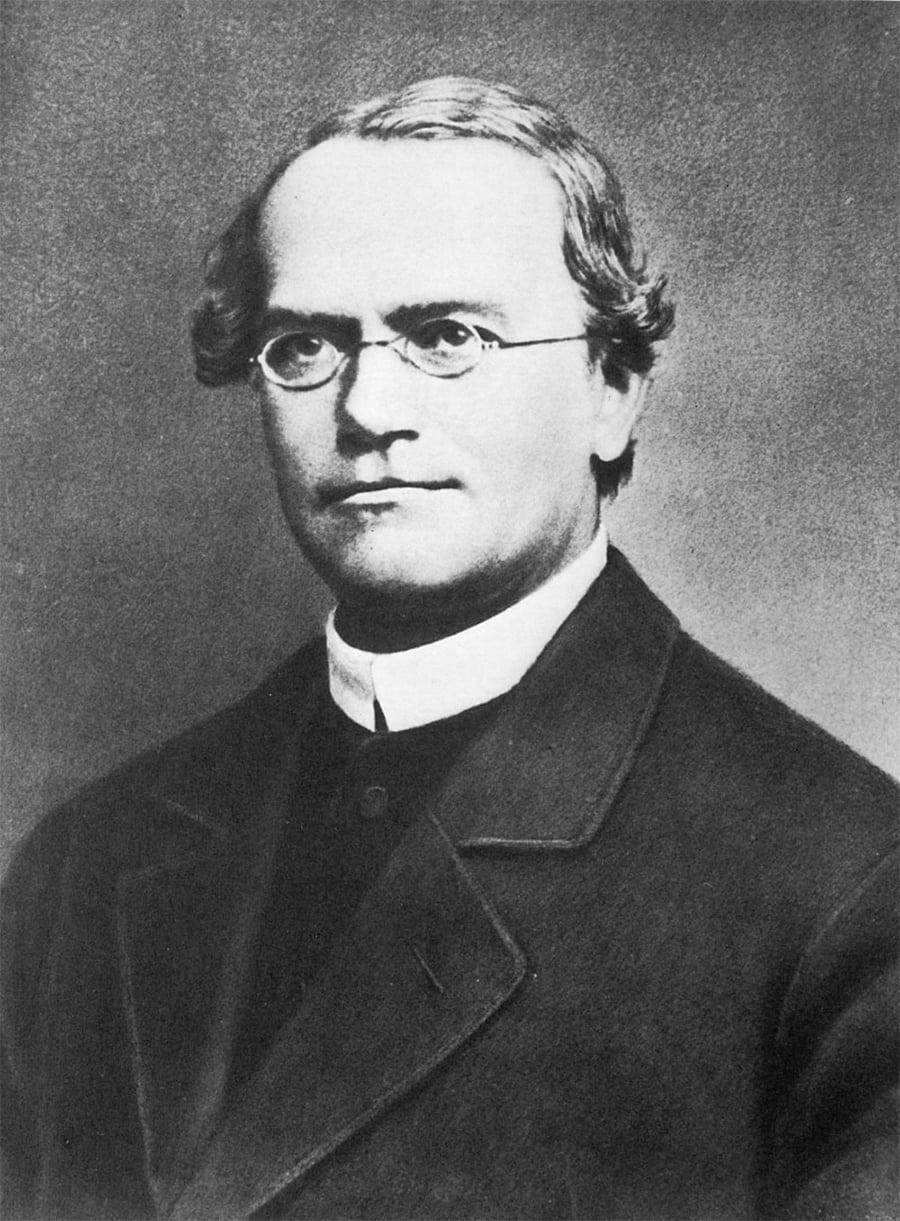 Black and white portrait of a man with glasses, wearing a dark suit and a white collar. He has short hair, parted on the side, and a serious expression. The background is plain and gray.