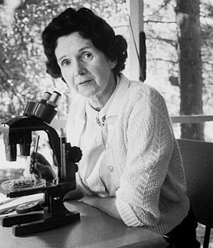 A woman with dark curly hair and a white sweater sits at a table using a microscope. She looks at the camera while working with petri dishes. Trees and natural light are visible in the background.