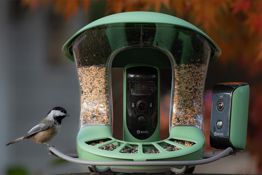 A small black-capped chickadee sits on a green bird feeder with built-in cameras, filled with seeds, against a blurred background of autumn leaves.