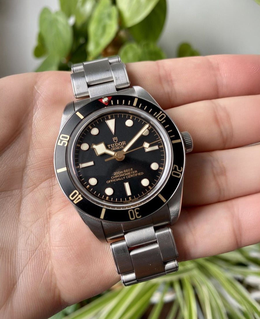 A hand holds a Tudor Black Bay Fifty-Eight wristwatch with a black dial and bezel, silver hour markers, and a stainless steel bracelet. Green leaves are visible in the blurred background.